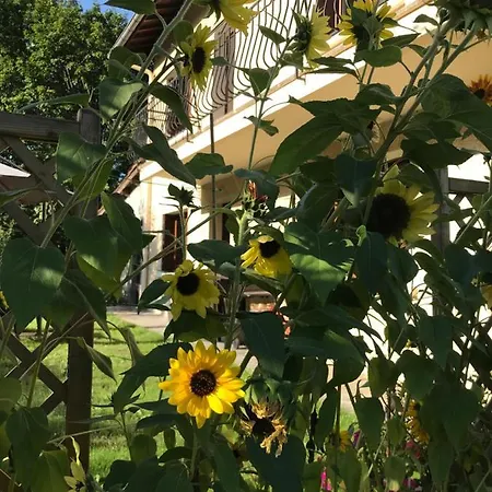 Vue Du Gar Saléchan