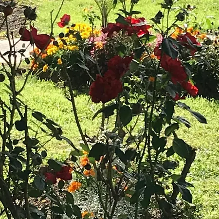 Vue Du Gar Διαμέρισμα Saléchan