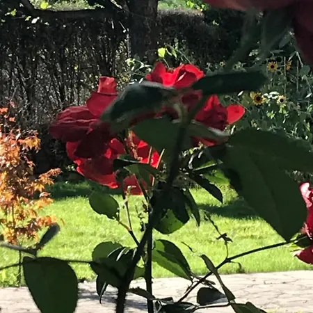 Διαμέρισμα Vue Du Gar *