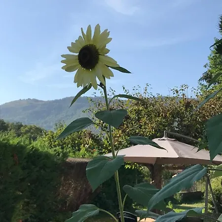 Vue Du Gar Apartamento Saléchan
