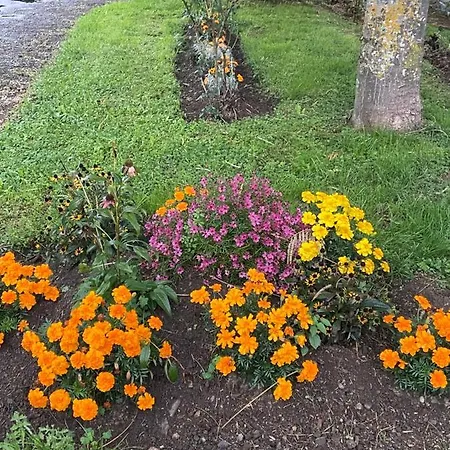 Vue Du Gar Διαμέρισμα *