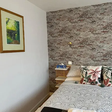 Vue Du Gar * Saléchan