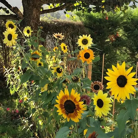Vue Du Gar Διαμέρισμα Saléchan