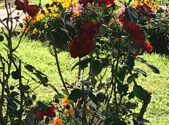 Vue Du Gar Apartamento Salechan