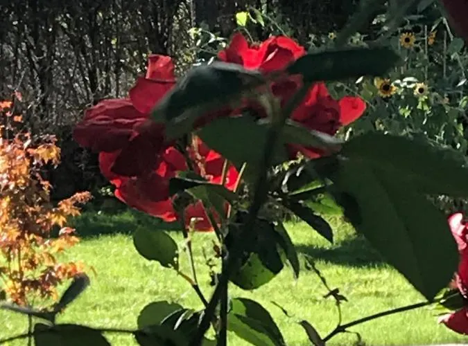 Apartamento Vue Du Gar *