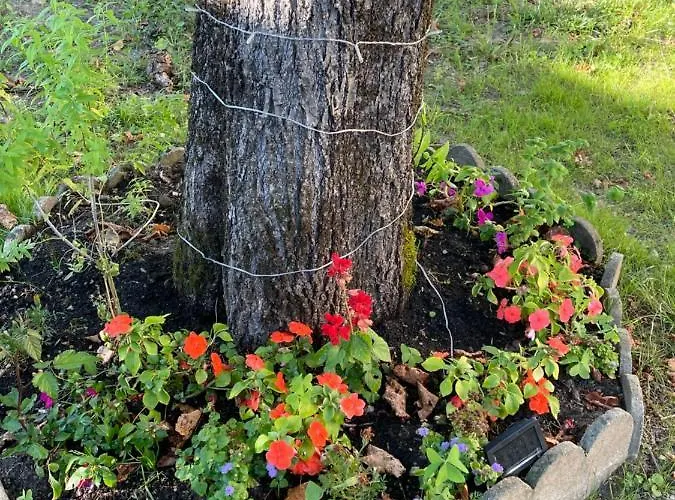 Vue Du Gar Apartamento *