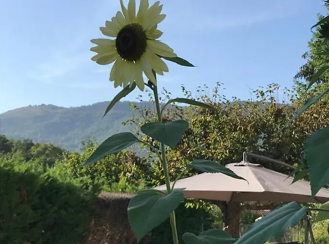 Vue Du Gar Apartamento Salechan