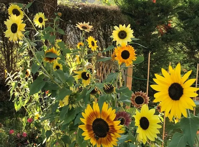 Vue Du Gar Apartamento Salechan