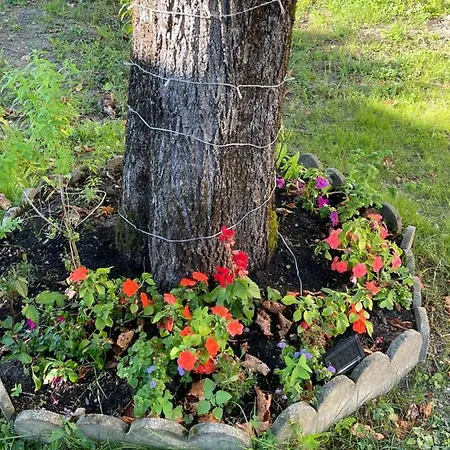 Vue Du Gar Apartment *