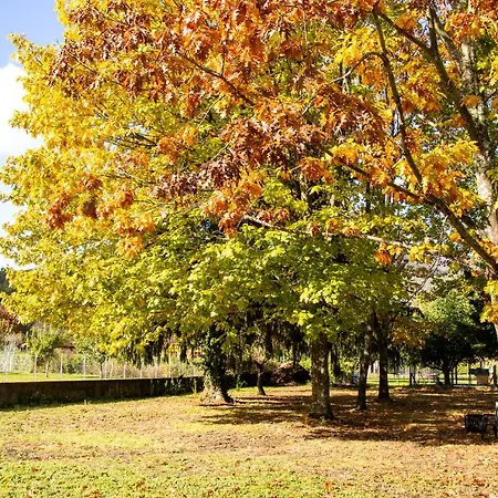 Vue Du Gar Apartment Salechan